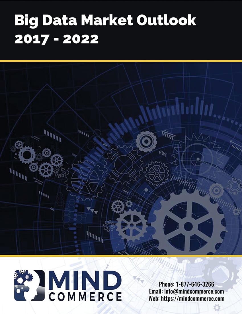 Big Data Report | Mind Commerce